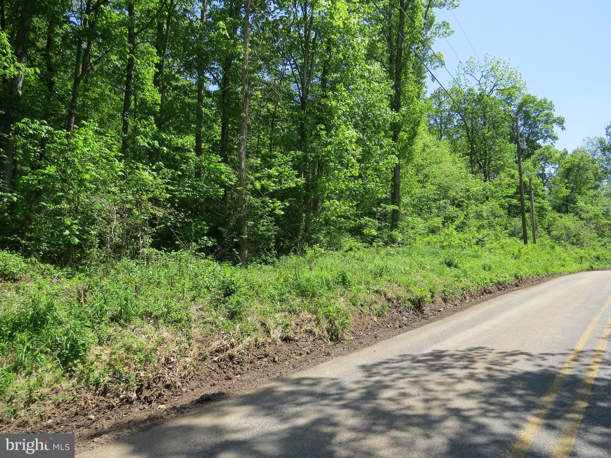 Lot 1 Company Farm Road York Springs, PA 17372 - Photo 2 of 8 Gallery Image 2