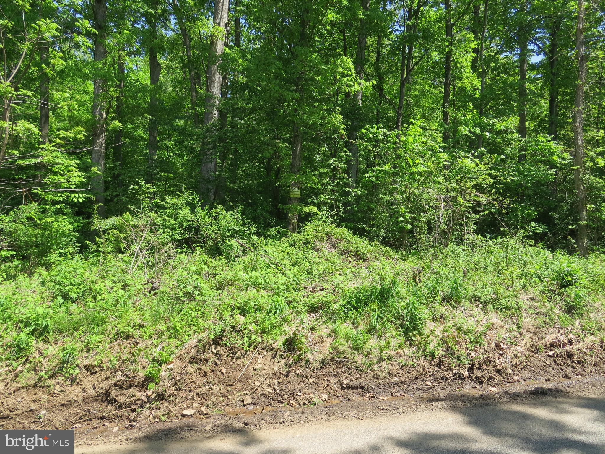 Lot 1 Company Farm Road York Springs, PA 17372 - Photo 3 of 8 Gallery Image 3