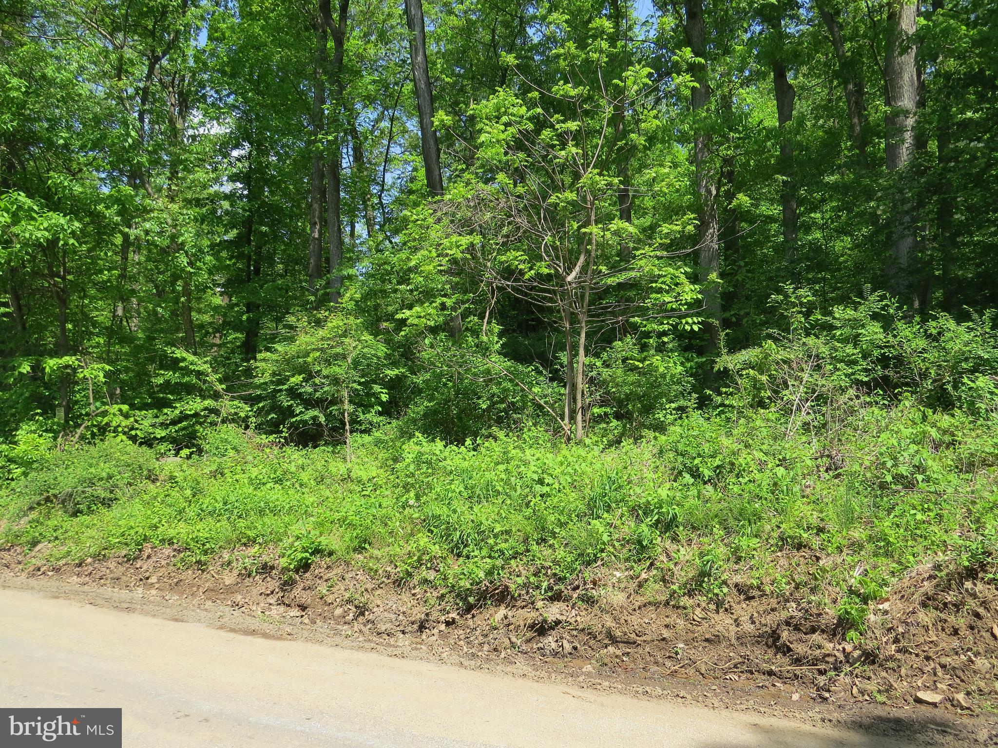 Lot 1 Company Farm Road York Springs, PA 17372 - Photo 4 of 8 Gallery Image 4
