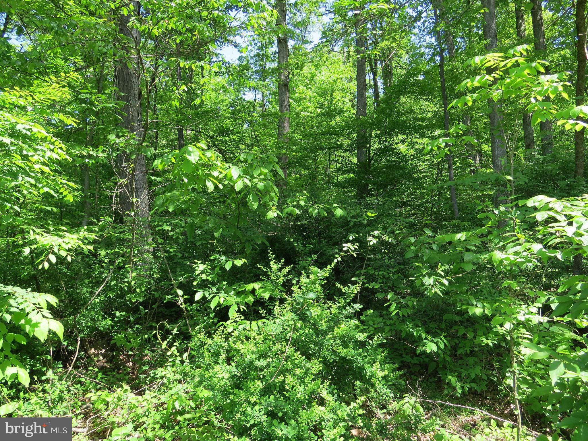 Lot 1 Company Farm Road York Springs, PA 17372 - Photo 7 of 8 Gallery Image 7