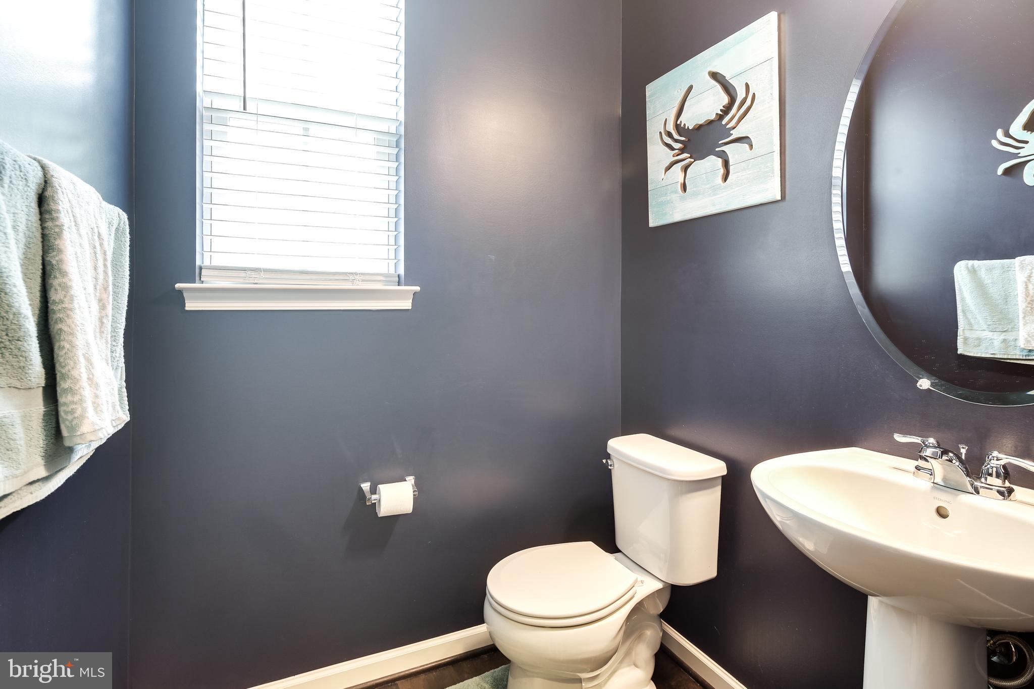 1008 Collier Run Road Baltimore, MD 21220 - Photo 8 of 33 a bathroom with a toilet a sink and mirror