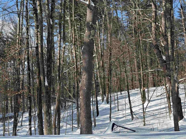 $150,000 | 14-2 Jewett Road, Dunbarton, NH 03046