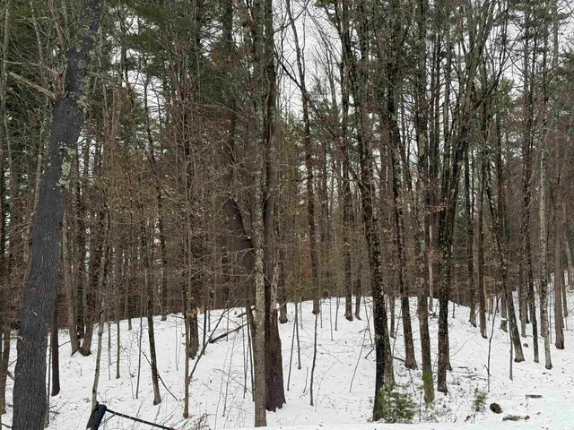 $150,000 | 14-2 Jewett Road, Dunbarton, NH 03046