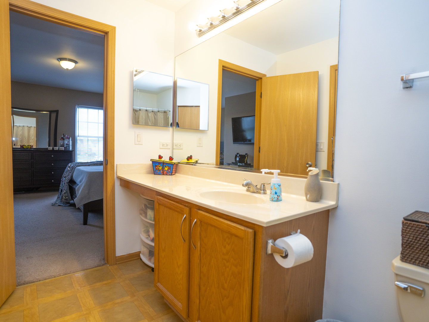1717 Caton Ridge Drive Plainfield, IL 60586 - Photo 39 of 44 a bathroom with a sink vanity and a mirror