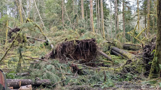 $180,000 | 7511 Wds Lk Road, Monroe, WA 98272