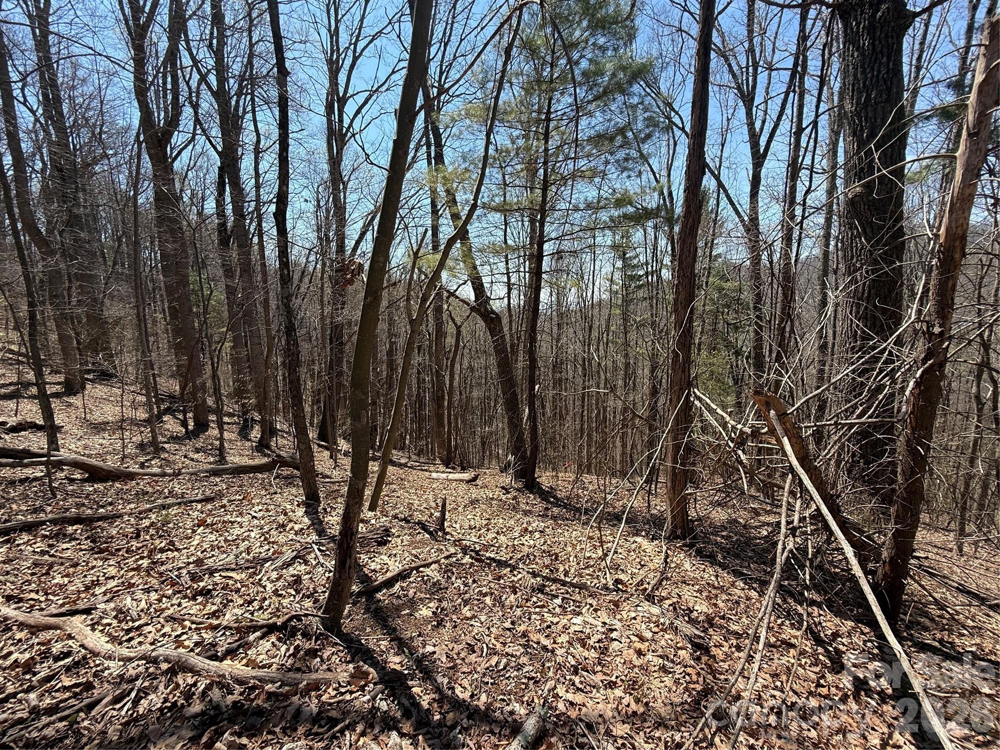 0 Granny Shepherd Road, Unit LOT 2 Mars Hill, NC 28754 - Photo 5 of 22