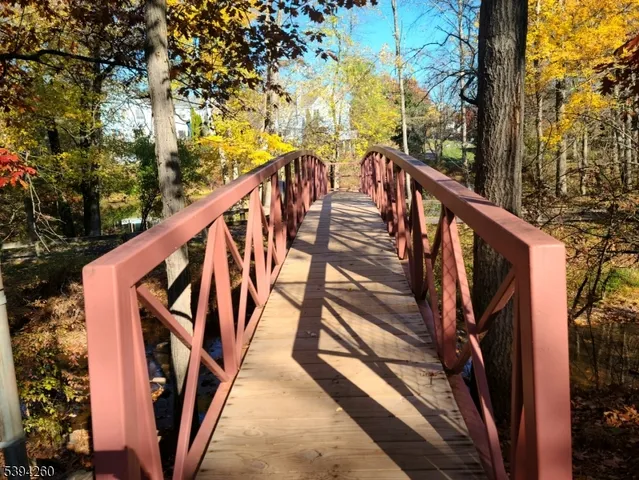 a view of park benches sitting below a tree