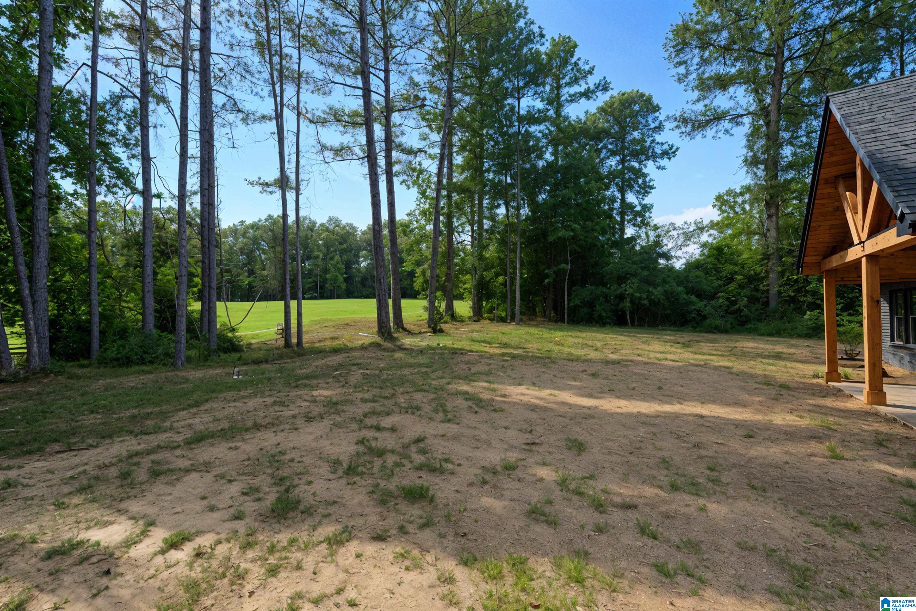 852 Sellers Hollow Road Dora, AL 35062 - Photo 49 of 59