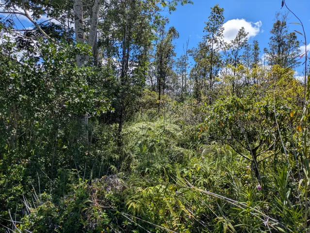 $76,000 | 14 Sandalwood Drive, Pahoa, HI 96778