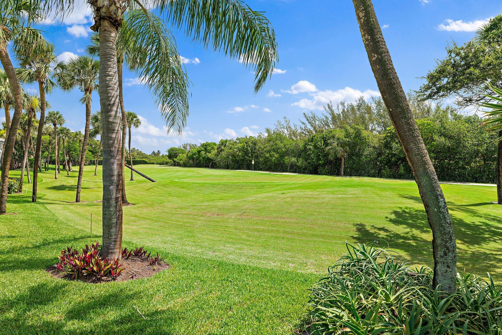 2905 Fairway Drive North Jupiter, FL 33477 - Photo 23 of 65 a view of a garden with a tree