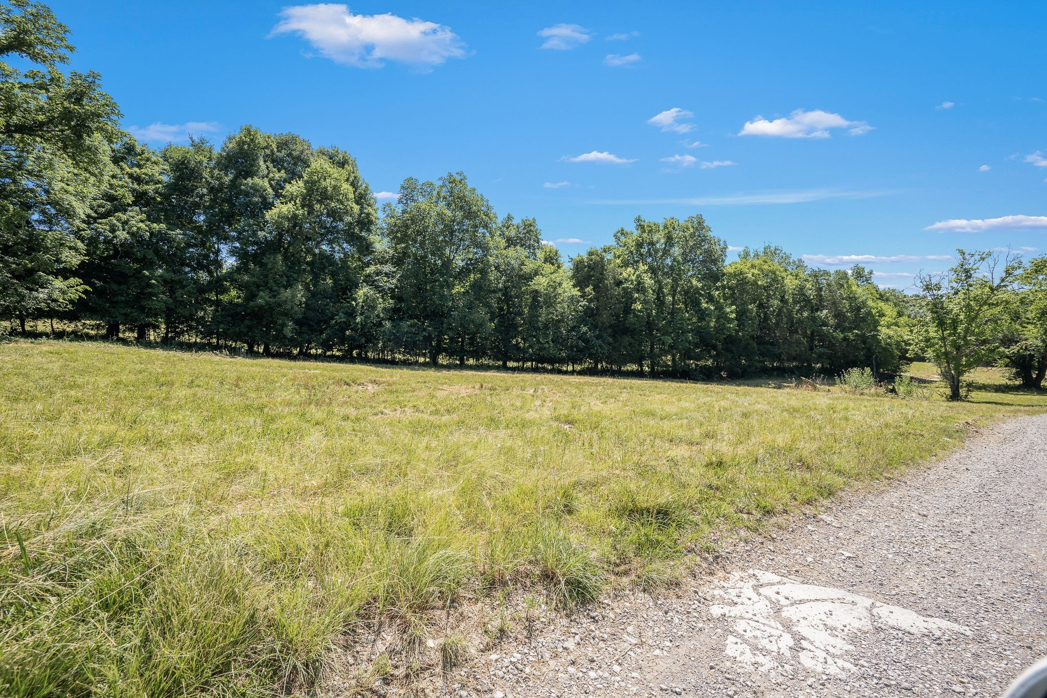 505 Philippi Road Wartrace, TN 37183 - Photo 14 of 79 Gallery Image 14