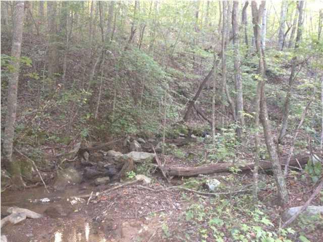 93.91 Jackson Point Road South Pittsburg, TN 37380 - Photo 3 of 11 20150123204246648811000000-o