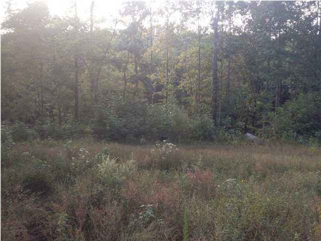 93.91 Jackson Point Road South Pittsburg, TN 37380 - Photo 6 of 11 20150123204245018515000000-o