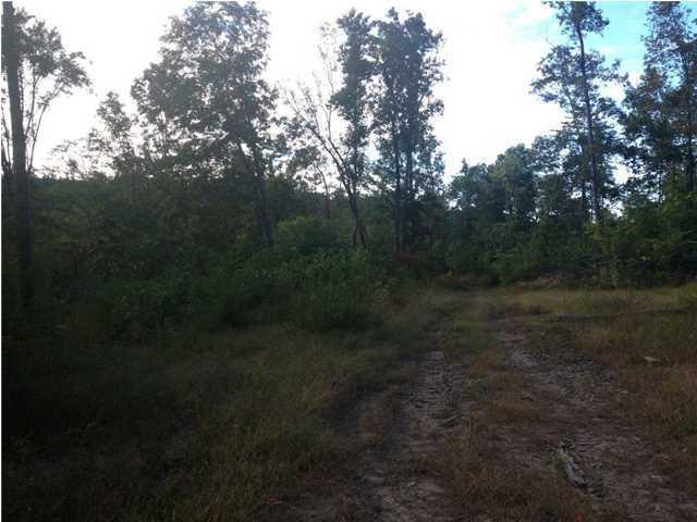 93.91 Jackson Point Road South Pittsburg, TN 37380 - Photo 7 of 11 20150123204245266963000000-o