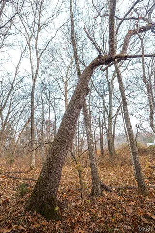 $1,500,000 | 16470 Maries Road 521, Rolla, MO 65401