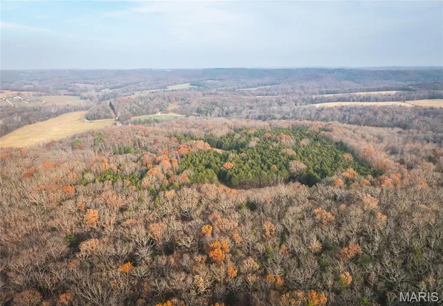 $1,500,000 | 16470 Maries Road 521, Rolla, MO 65401