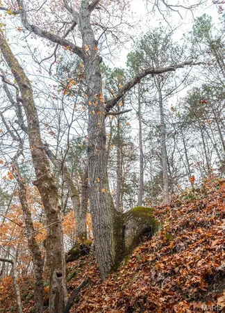 $1,484,000 | 16470 Maries Road 521, Rolla, MO 65401