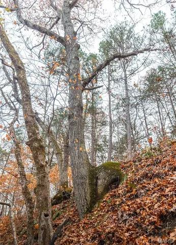 $1,484,000 | 16470 Maries Road 521, Rolla, MO 65401