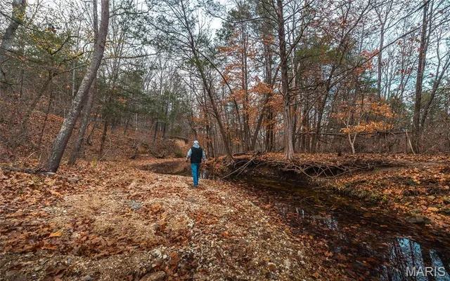 $1,500,000 | 16470 Maries Road 521, Rolla, MO 65401