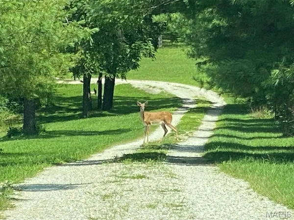 $1,484,000 | 16470 Maries Road 521, Rolla, MO 65401