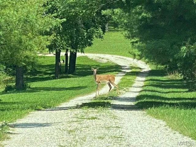 $1,484,000 | 16470 Maries Road 521, Rolla, MO 65401