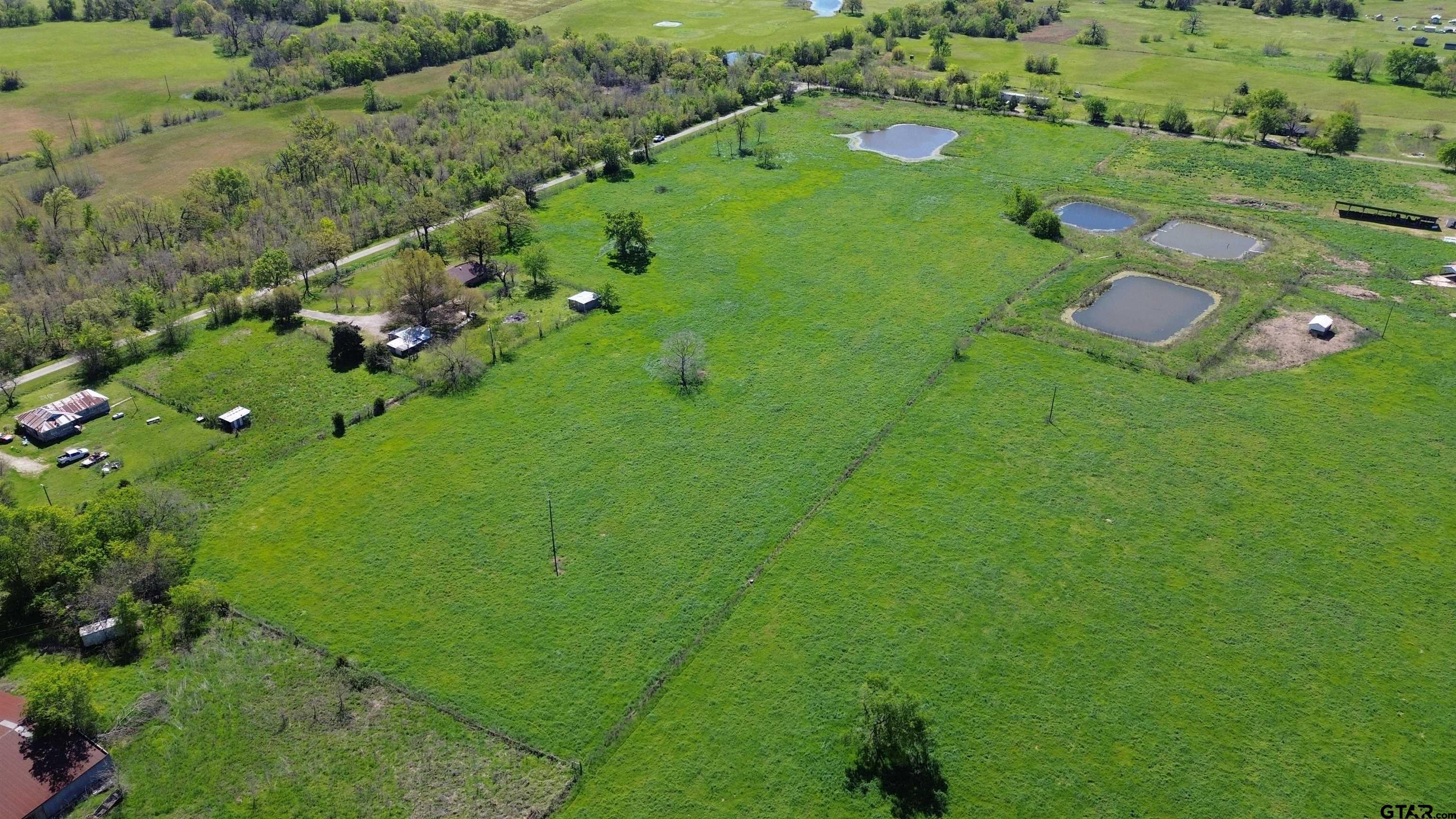 Lot 1 Rscr 3417 Emory, TX 75440 - Photo 21 of 30 a lush green forest with lots of trees