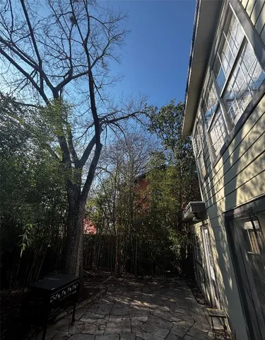 a view of a garden with a tree