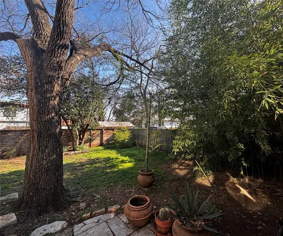 a view of a backyard