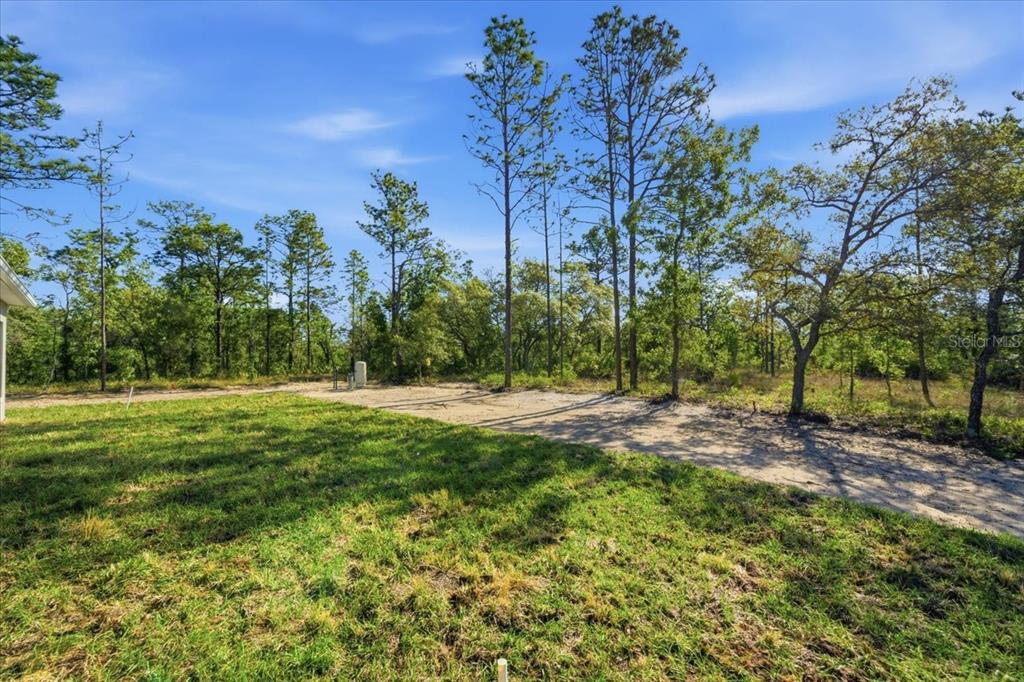 15212 Hawley Road Weeki Wachee, FL 34614 - Photo 25 of 25 a view of outdoor space with trees all around