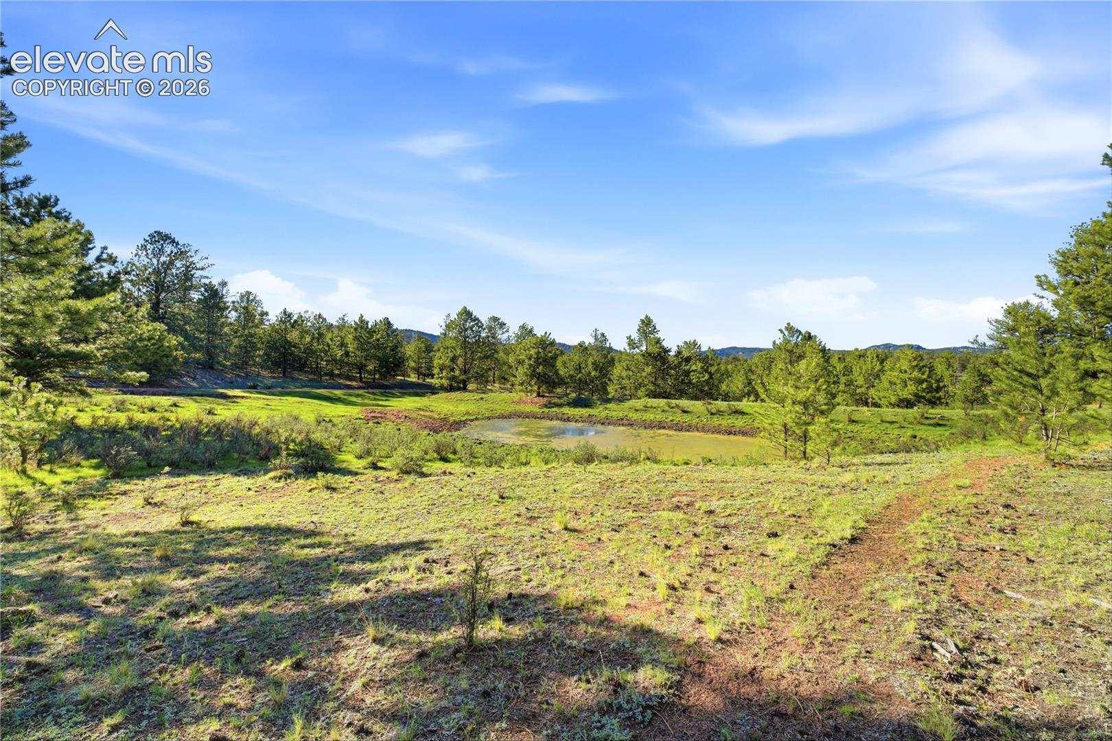 Doe Valley Road Guffey, CO 80820 - Photo 7 of 19 Gallery Image 7