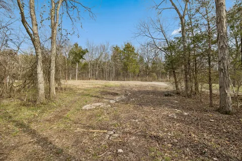a view of outdoor space with trees