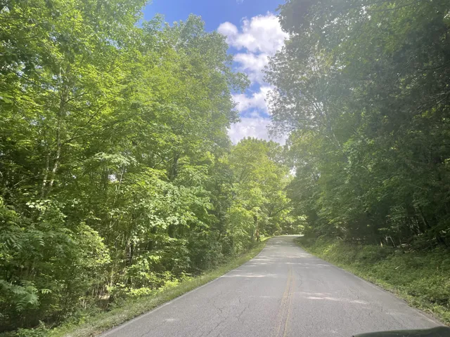 a view of a yard with plants