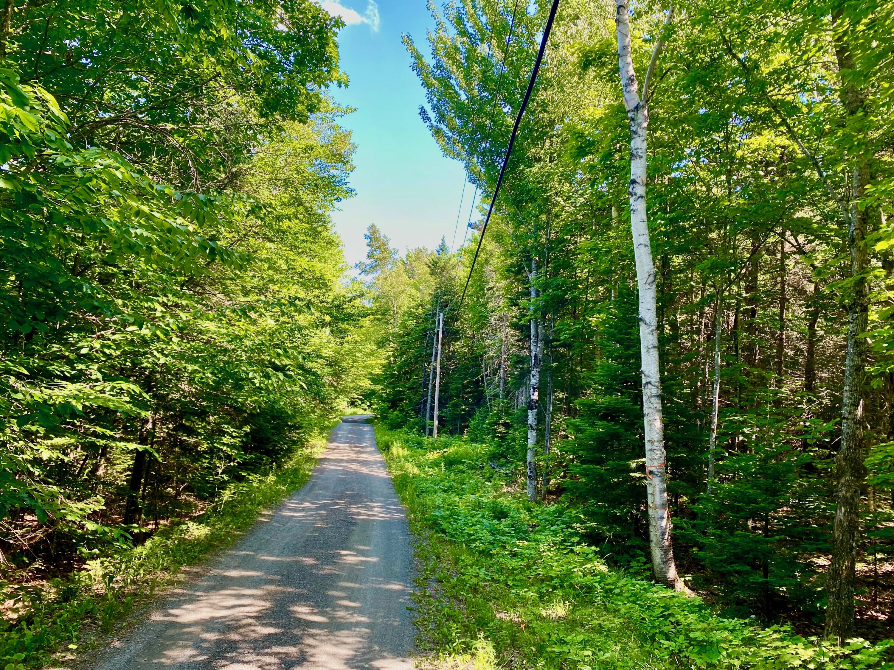 M34-l44.2a M34-l44.2a Curley Road Rangeley, ME 04970 - Photo 2 of 14 road down view
