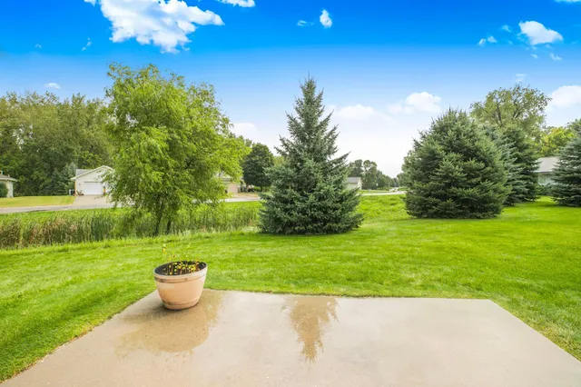 $220,000 | 647 Cottonwood Avenue, Litchfield, MN 55355