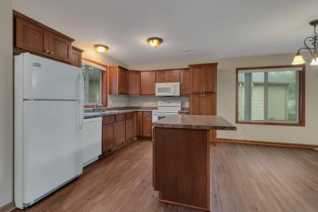 $220,000 | 647 Cottonwood Avenue, Litchfield, MN 55355