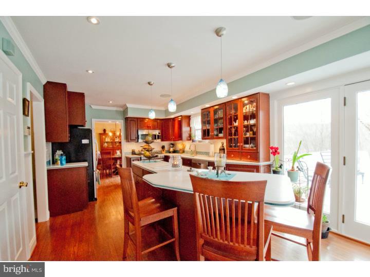 1346 Ridgeview Circle Downingtown, PA 19335 - Photo 5 of 25 Kitchen