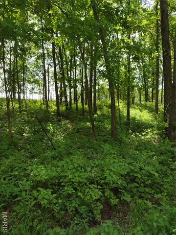 $971,975 | 0 Central Grove Road, Middletown, MO 63359