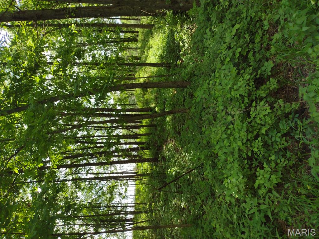 0 Central Grove Road Middletown, MO 63359 - Photo 11 of 31