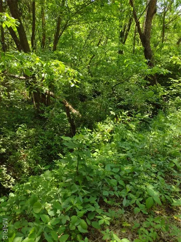 $971,975 | 0 Central Grove Road, Middletown, MO 63359