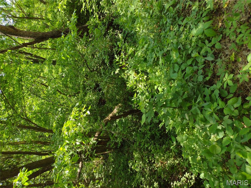 0 Central Grove Road Middletown, MO 63359 - Photo 12 of 31