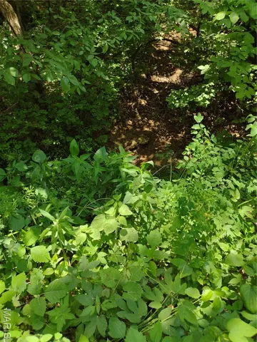 $971,975 | 0 Central Grove Road, Middletown, MO 63359