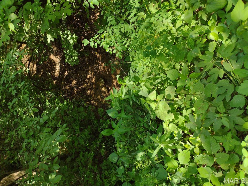 0 Central Grove Road Middletown, MO 63359 - Photo 13 of 31