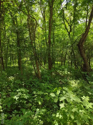 $971,975 | 0 Central Grove Road, Middletown, MO 63359