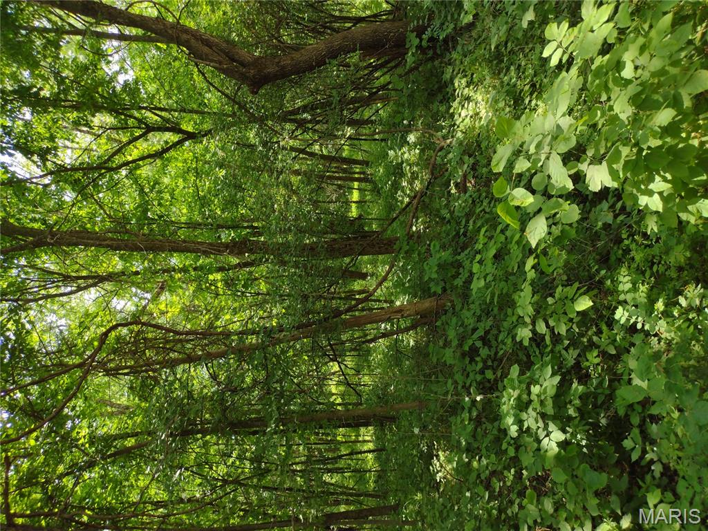 0 Central Grove Road Middletown, MO 63359 - Photo 14 of 31