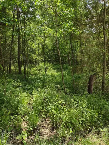 $971,975 | 0 Central Grove Road, Middletown, MO 63359