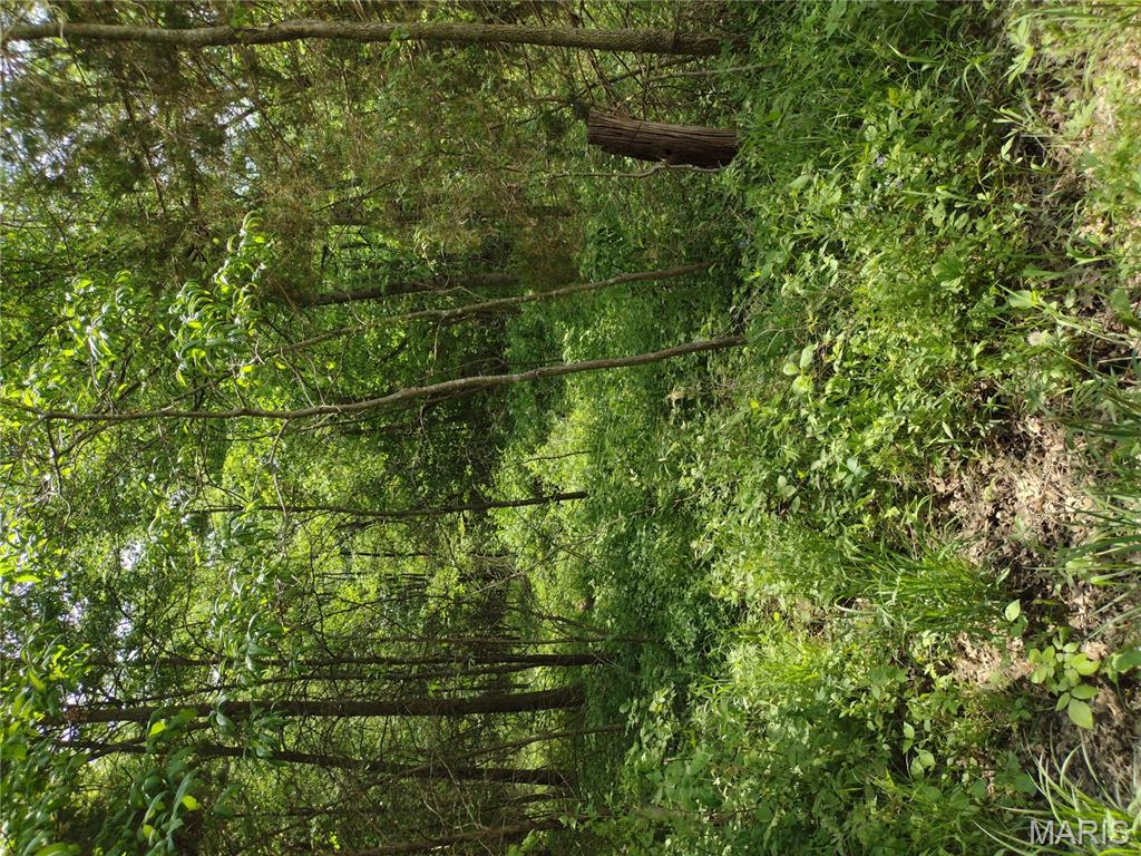 0 Central Grove Road Middletown, MO 63359 - Photo 15 of 31