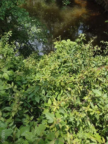 $971,975 | 0 Central Grove Road, Middletown, MO 63359