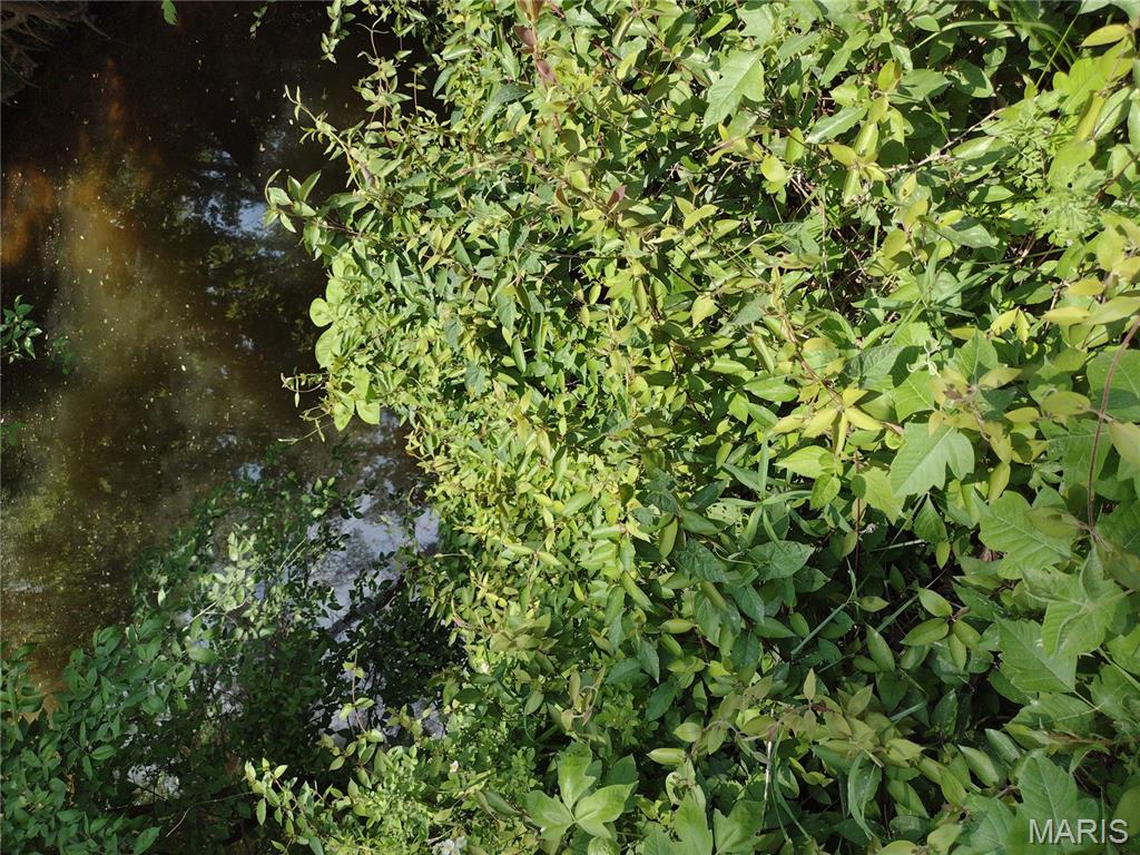 0 Central Grove Road Middletown, MO 63359 - Photo 17 of 31