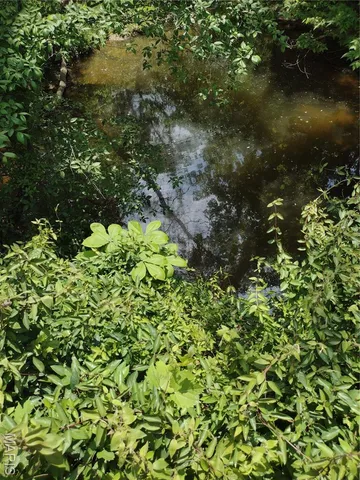 $971,975 | 0 Central Grove Road, Middletown, MO 63359