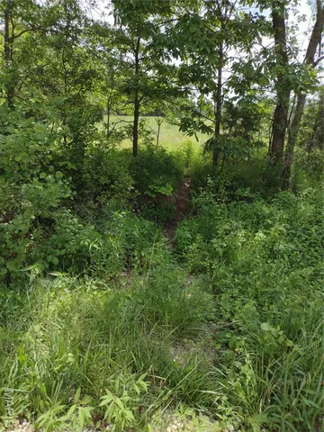 $971,975 | 0 Central Grove Road, Middletown, MO 63359